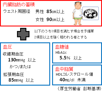 メタボリックシンドローム